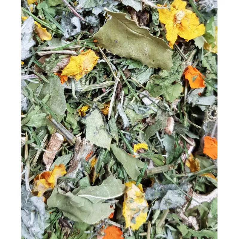 Infusion Poutze Automne 50g