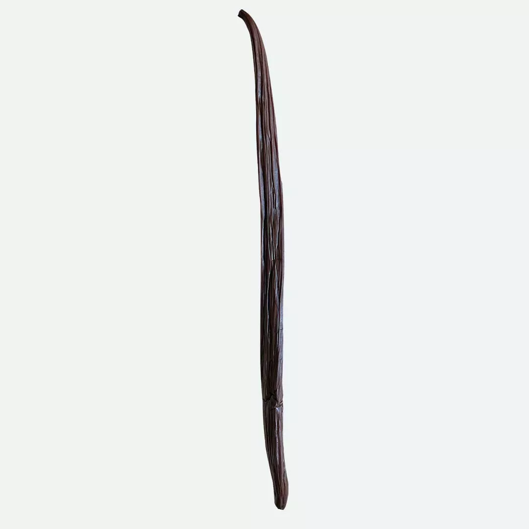 Gousse de Vanille sauvage 1x