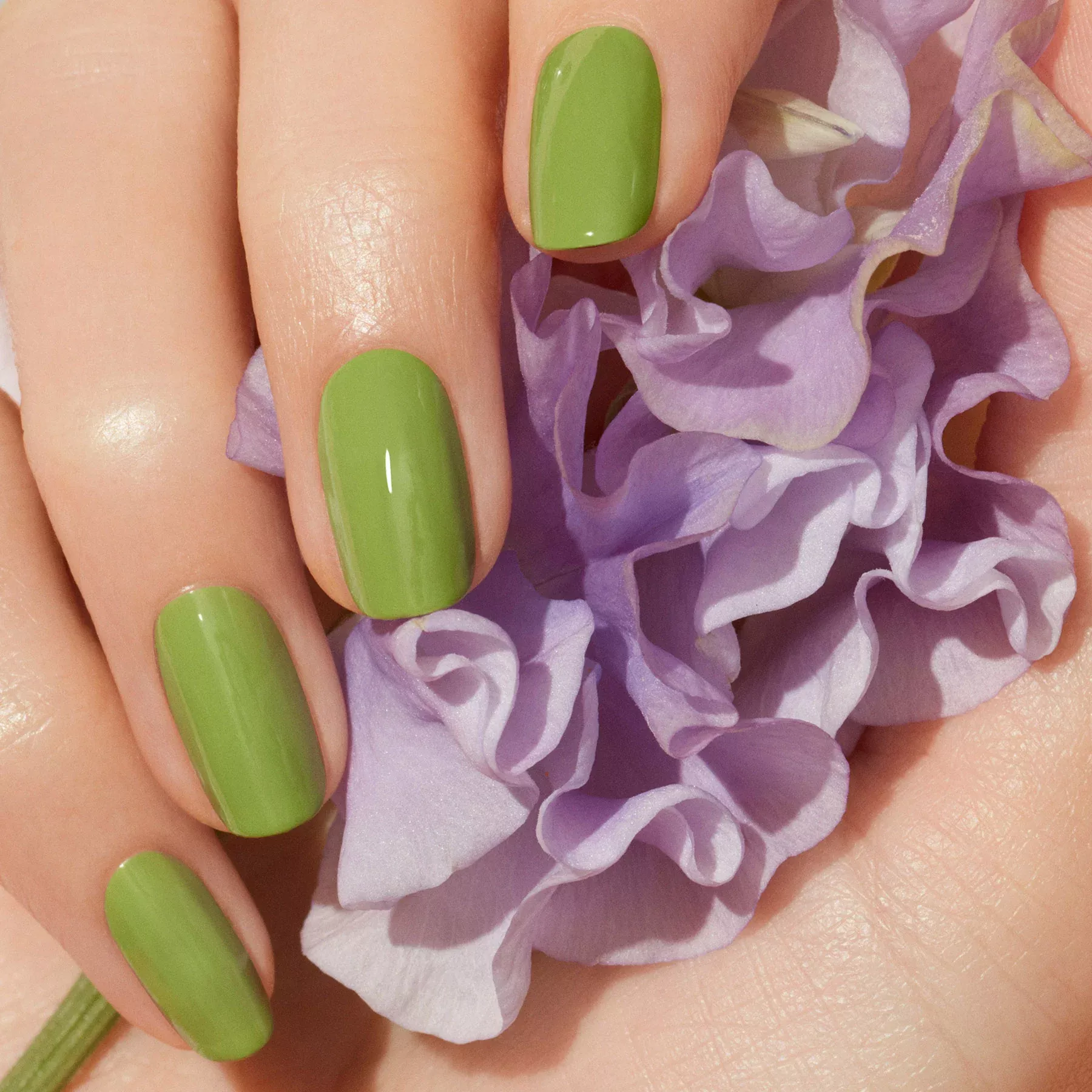 Vernis Petit Pois - 15ml