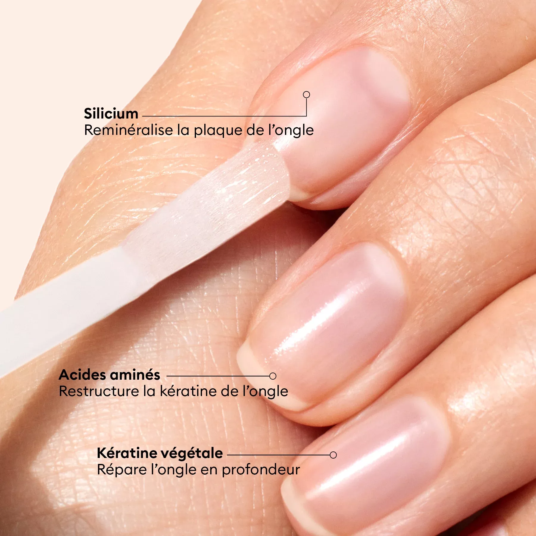 Vernis Amer - 15ml