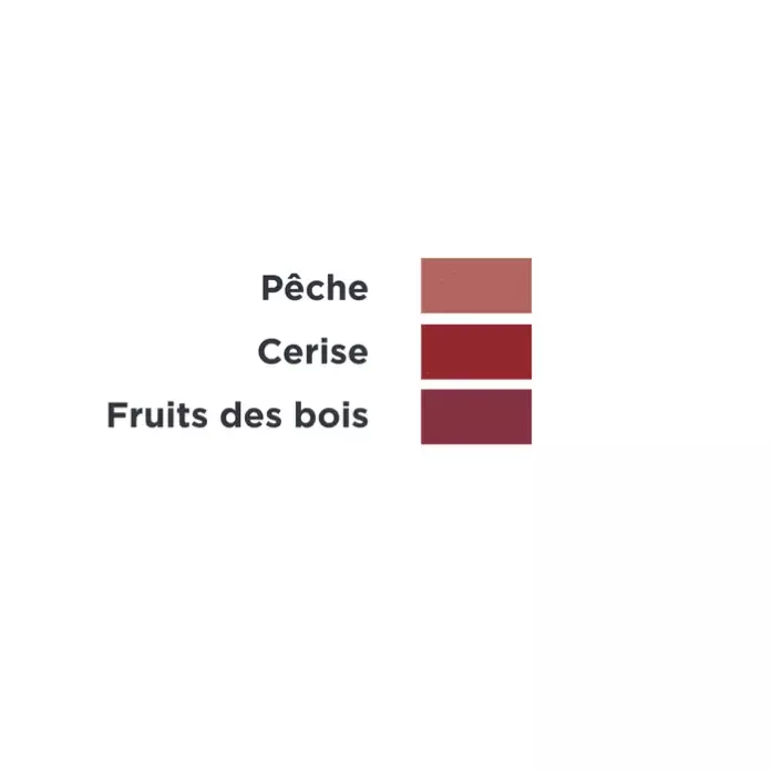 Baume à lèvres teinté - Fruits des bois - 4,8g