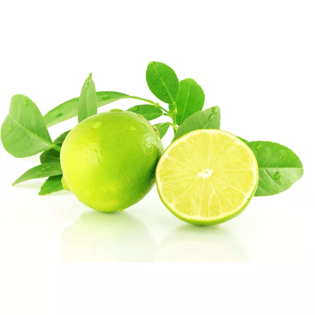 Déodorant - Citron & Tea Tree - 60g