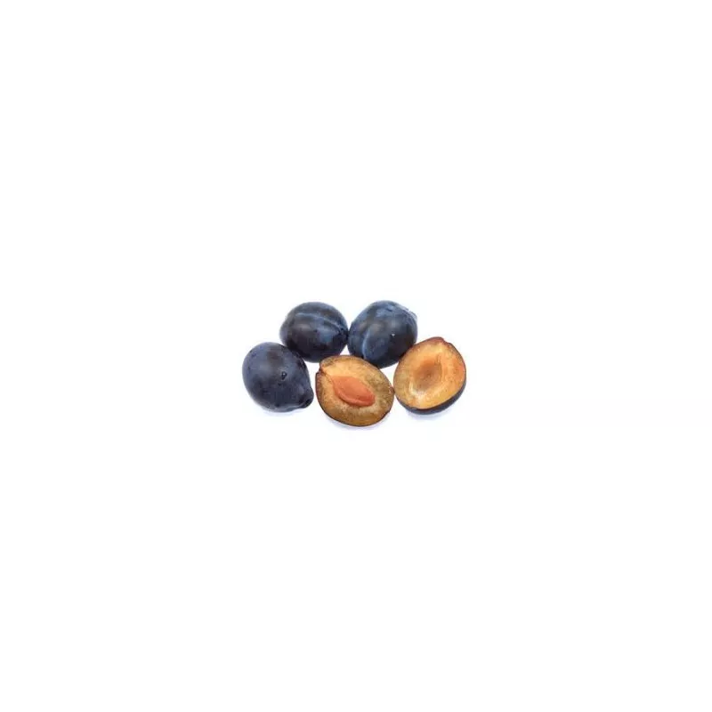 Huile de noyaux de pruneaux - 20ml