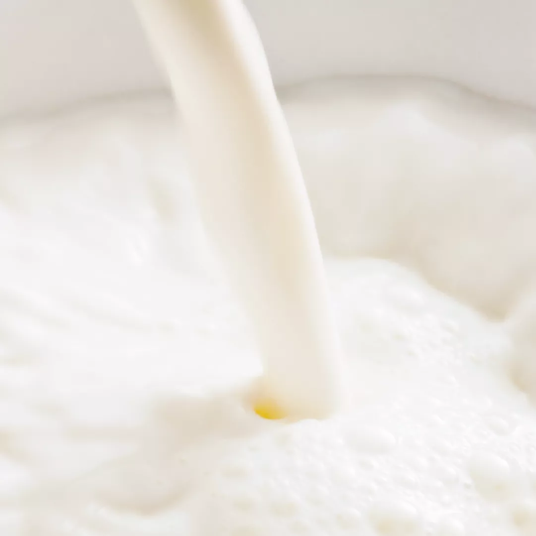 Savon au lait de chèvre - Original - 95g
