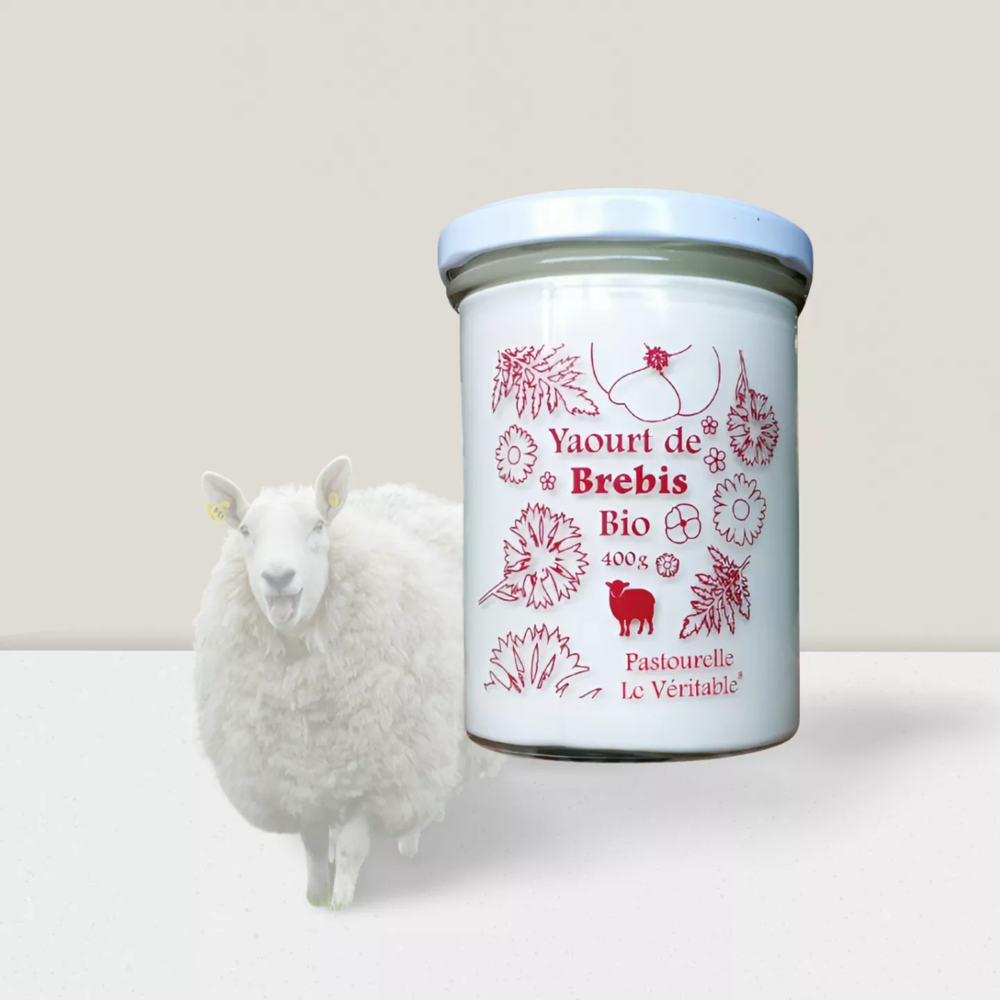 Yaourt Nature brebis 400g