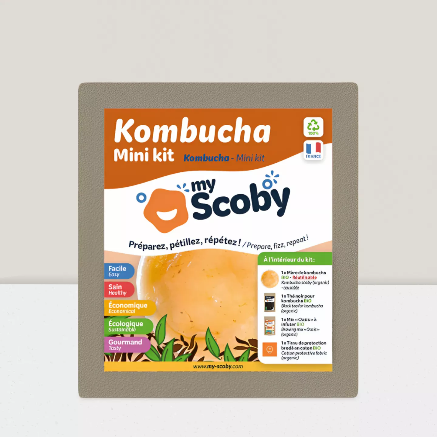 Mini Kit Kombucha