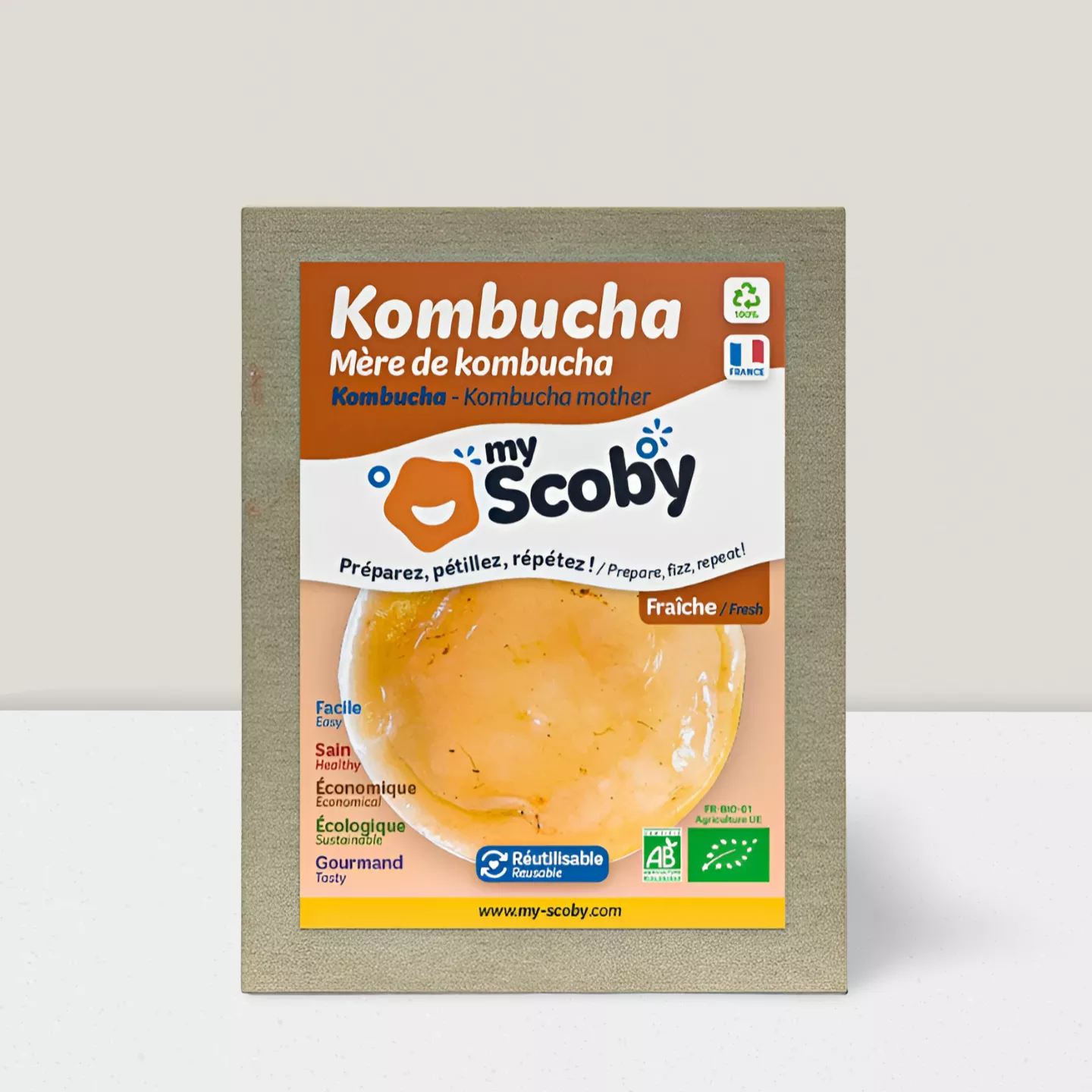 Mère Kombucha avec Starter BIO