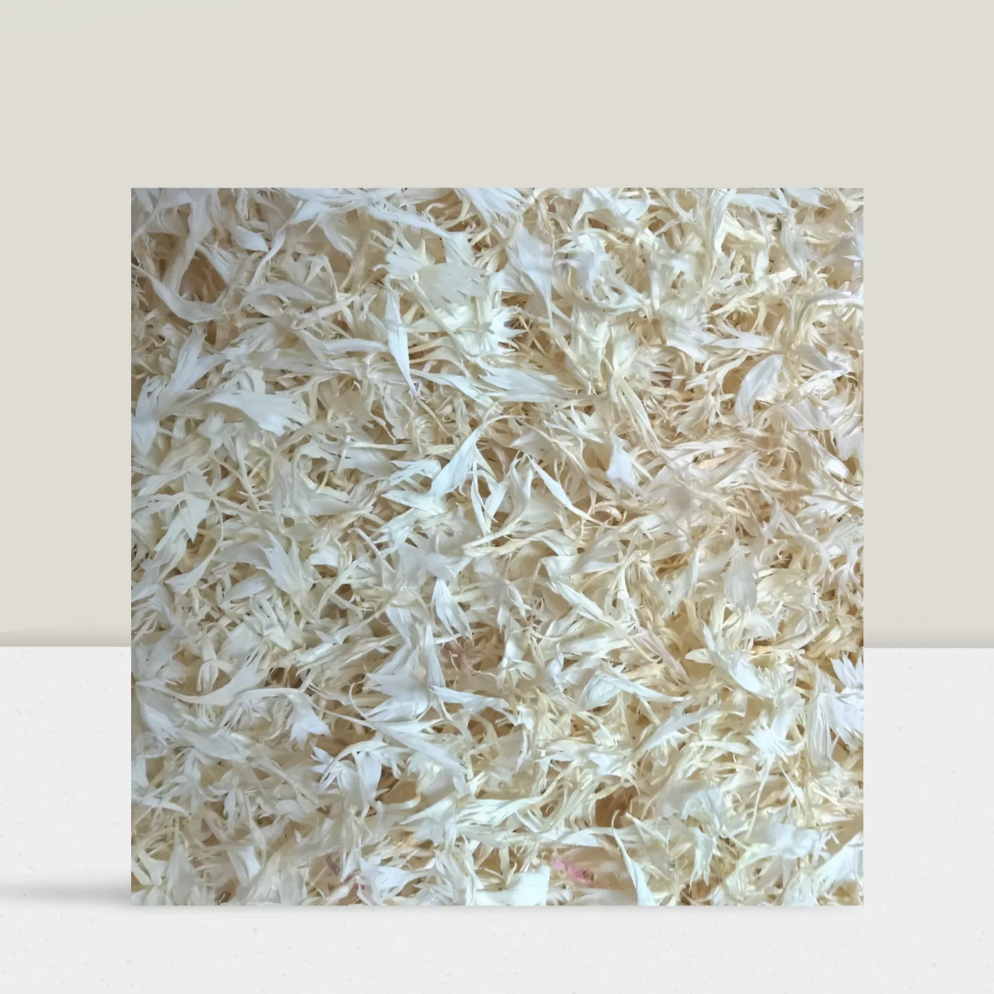 Bleuets blancs - 10g