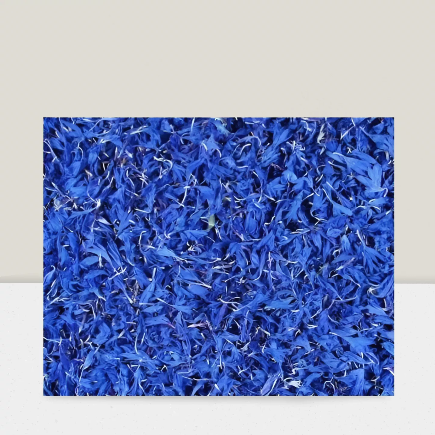 Bleuets bleus - 10g
