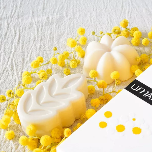 Coffret Mimosa