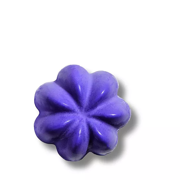 Shampoing Violet - 80g