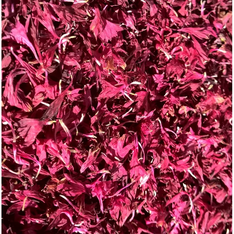 Bleuets rouge - 10g