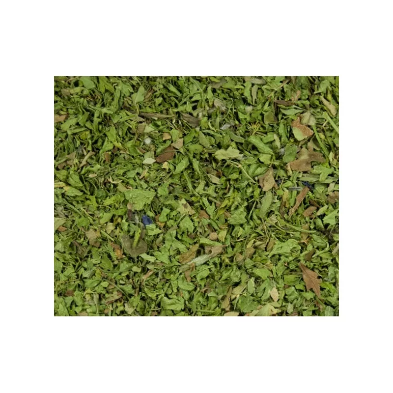 Herbes pour salades 20g