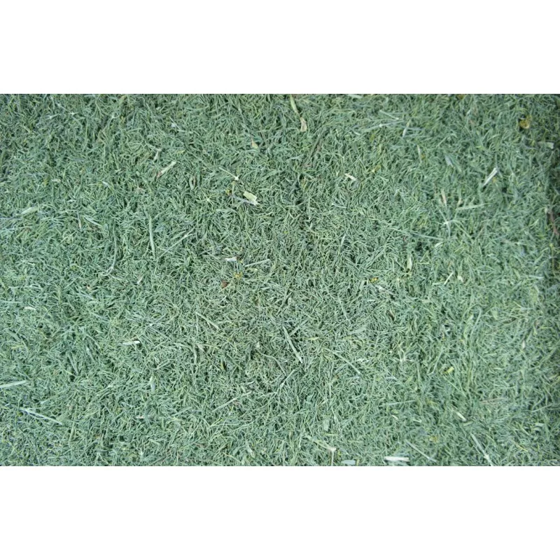 Aneth 20g