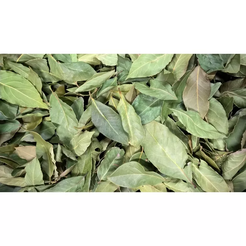 Laurier 10g
