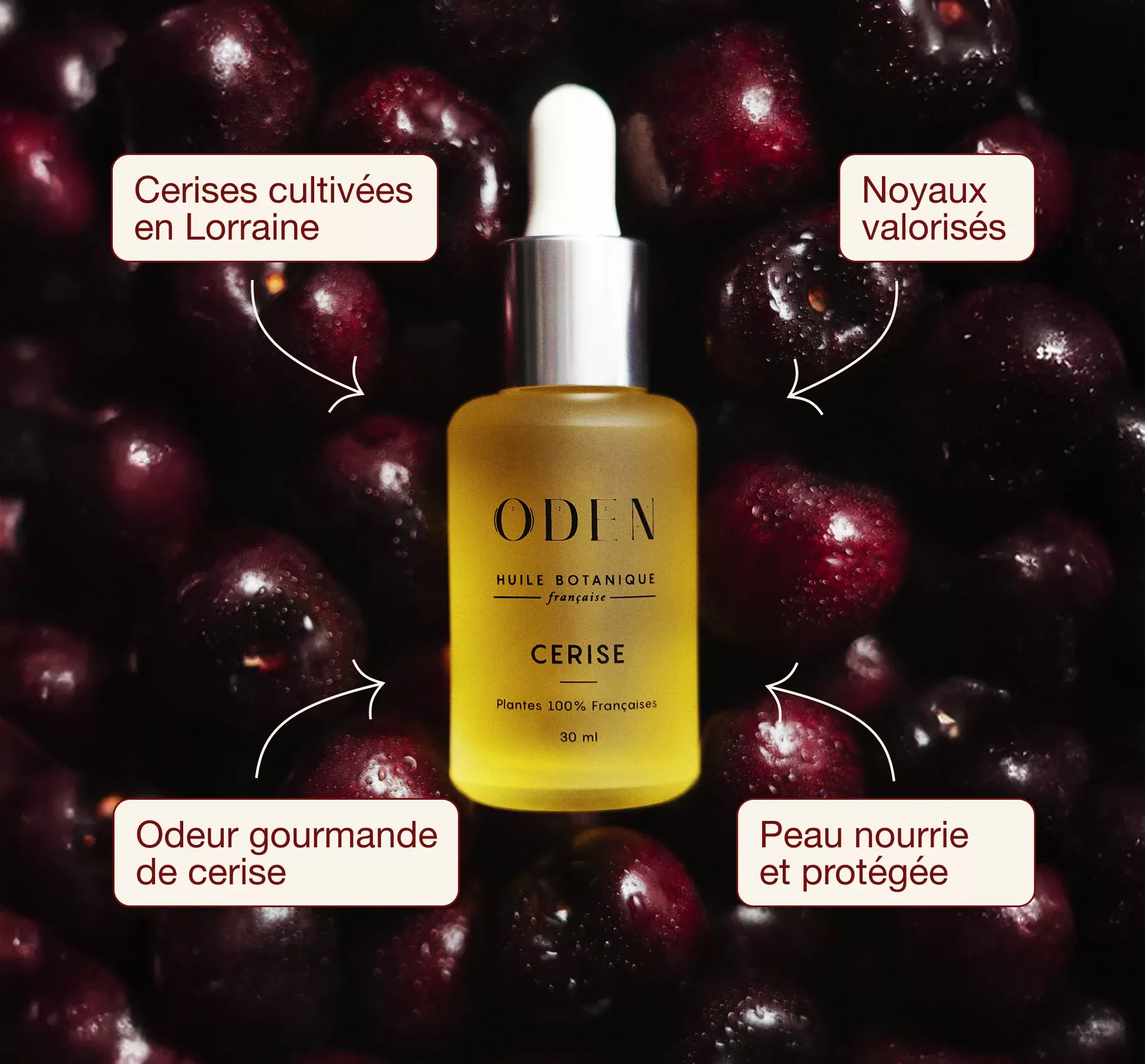 Huile Botanique Cerise - 30 ml