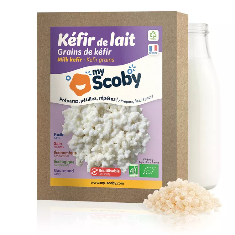 Grains de Kéfir de lait déshydratés