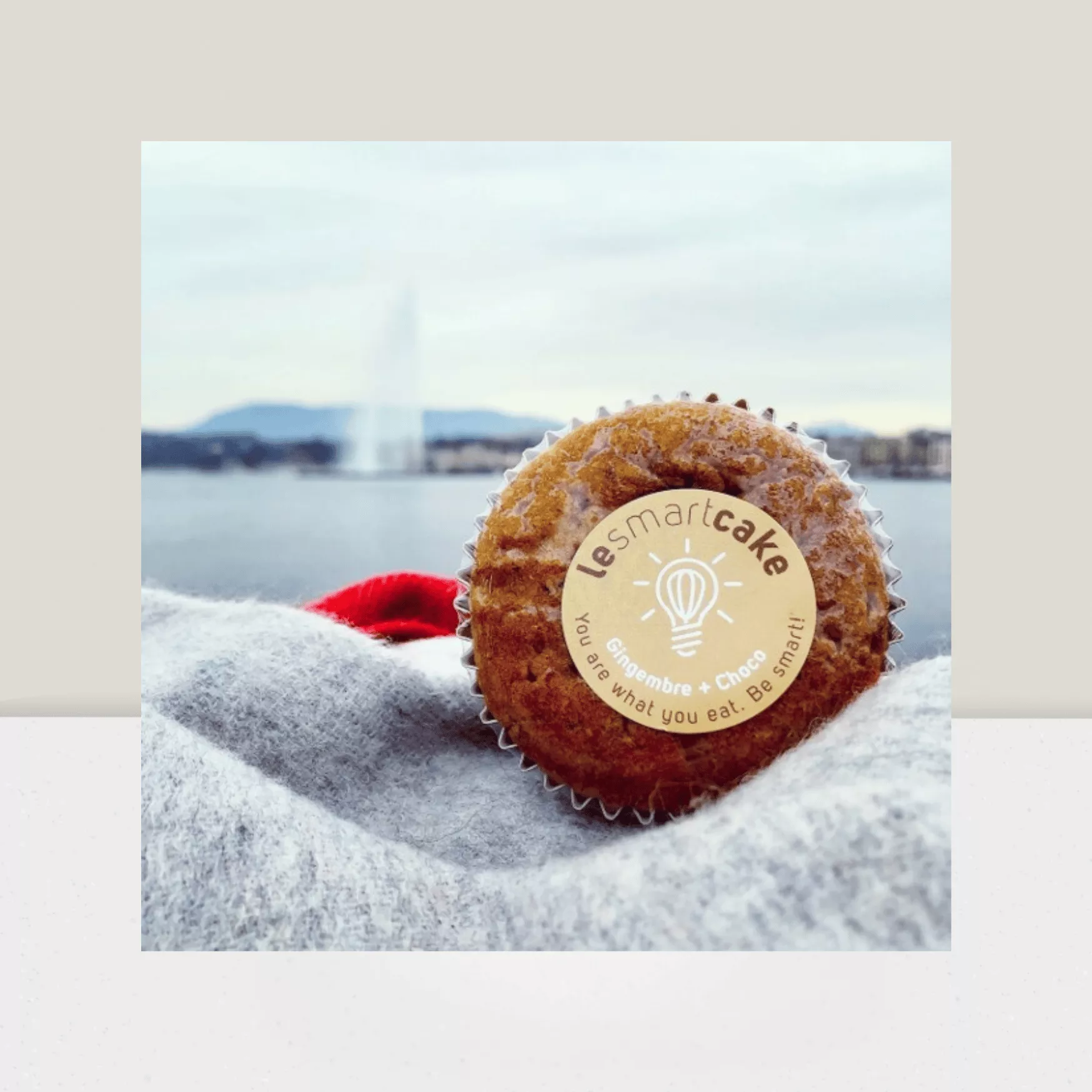 lesmartcake_gingembre_chocolat